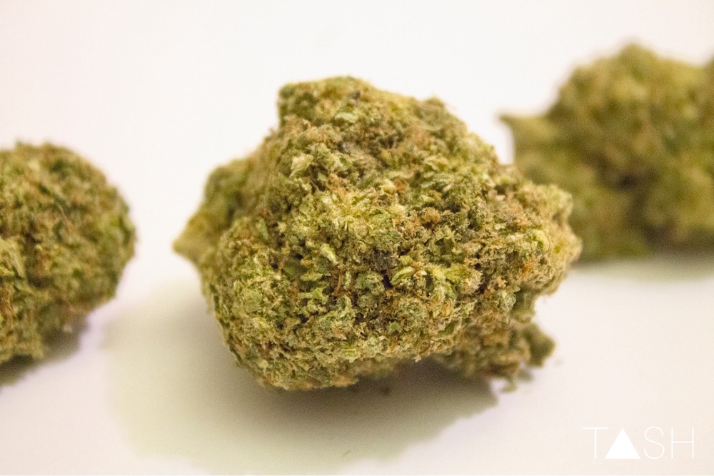 Sweet Haze Marijuana Strain Sweet Haze Marijuana Strain