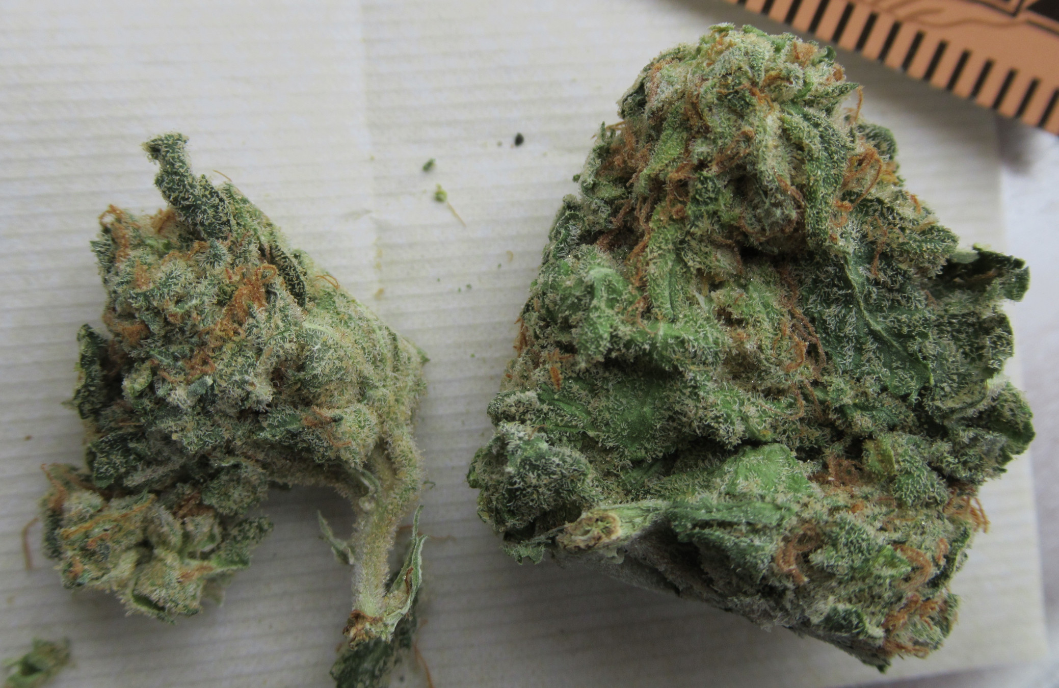 Duke Nukem Strain Duke Nukem Strain