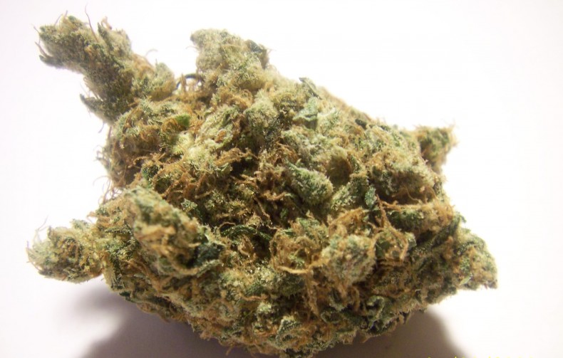 Banana-Kush-Marijuana-1.jpg
