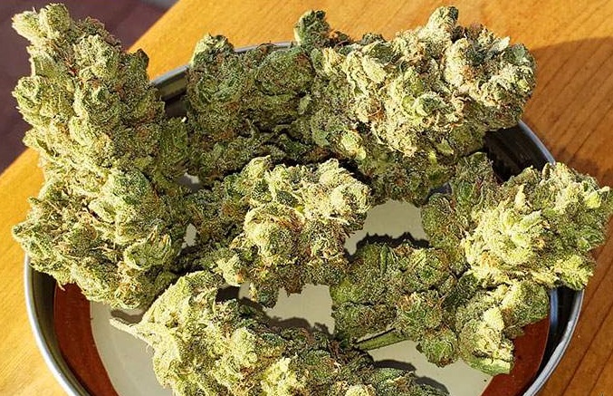 Blue-Cheese-Marijuana-Strain.jpg