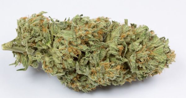 Bubblegum-Kush-600x317-2.jpg