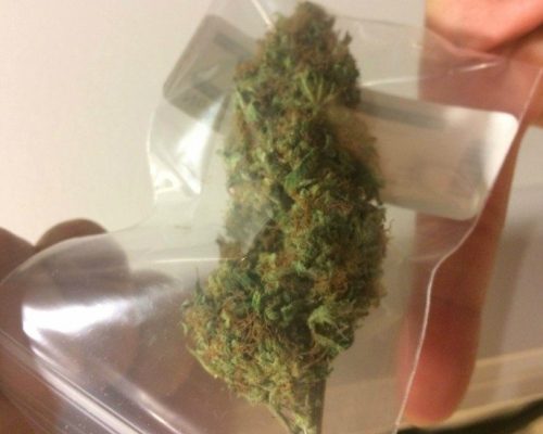 Buy Northern Lights Strain Online