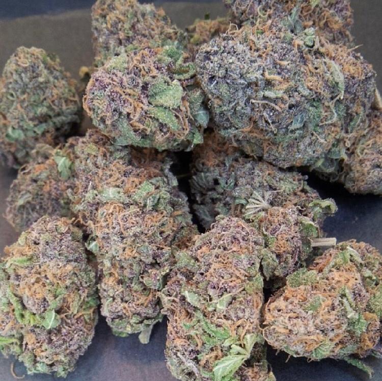 Grand-Daddy-Purple-Kush-1.jpeg