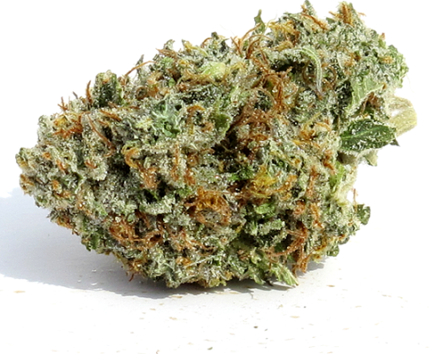 Order Jack the Ripper Strain