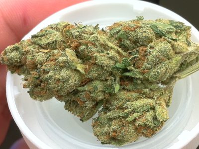 alaskan thunder fuck Strain