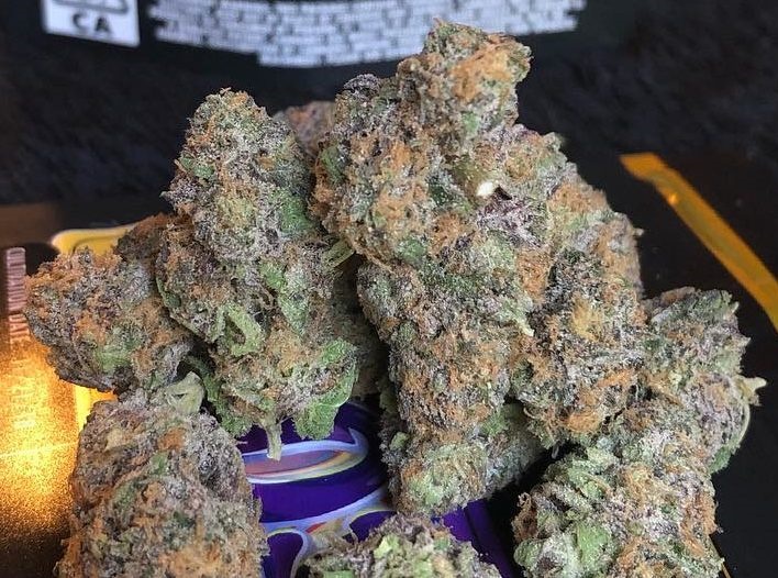 granddaddy-purple-hybrid-1.jpg