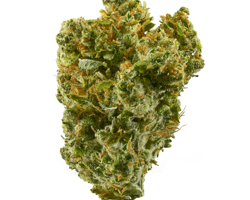 Super Silver Haze Strain