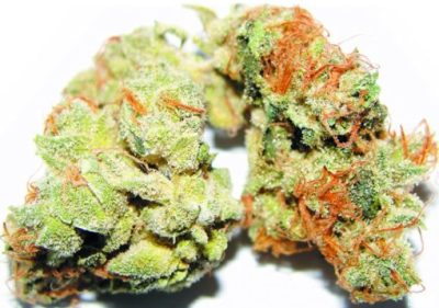 Lemon Sour Diesel Kush