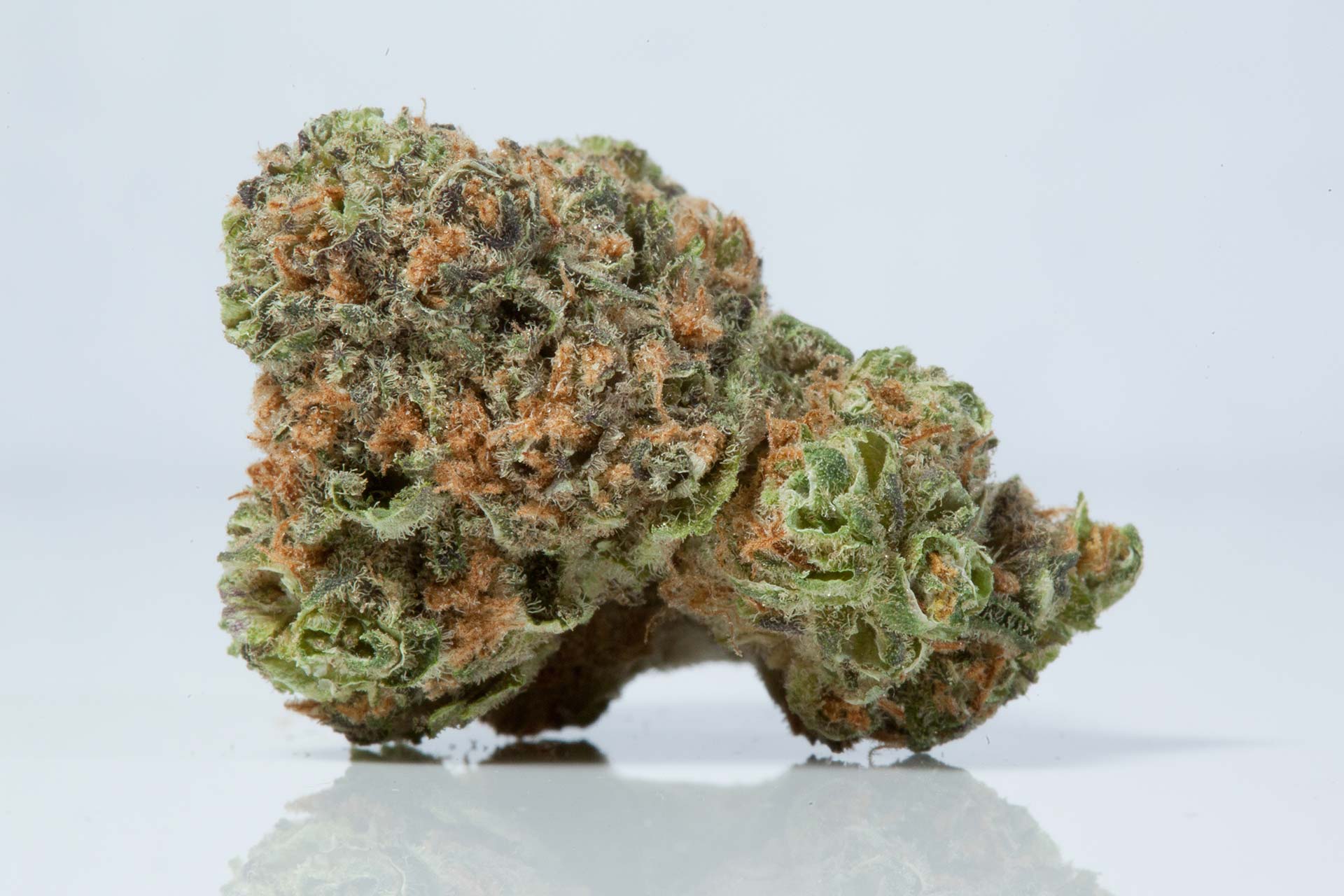 lightshade-pineapple-express-strain-1-1.jpg