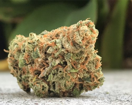 Maui Waui Marijuana Strain
