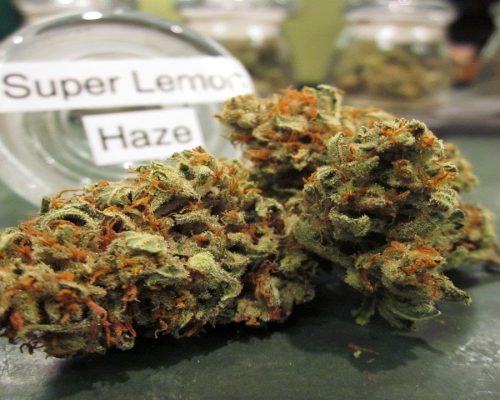Super Lemon Haze