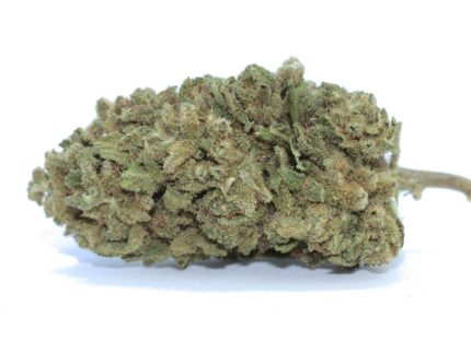 buy super skunk strain online