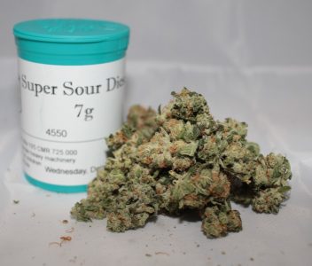 Sour Diesel (DNA Genetics)