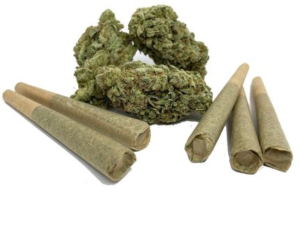 Susz Konopny pre-rolls